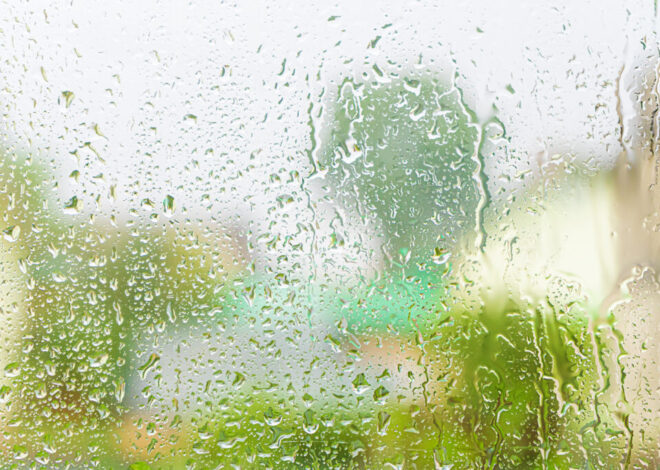 How to Choose Cabinet Materials That Can Handle Humid Climates Year-Round