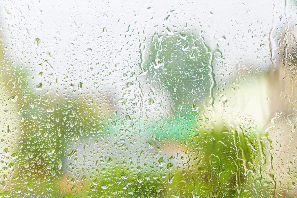 How to Choose Cabinet Materials That Can Handle Humid Climates Year-Round